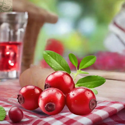 Dafa Kızılcık Suyu Nature's Food